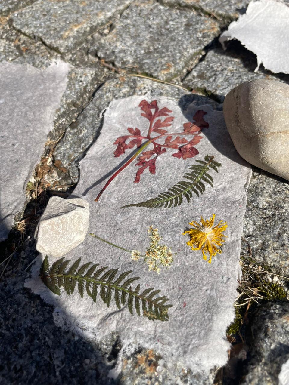 Papierschöpfen7
