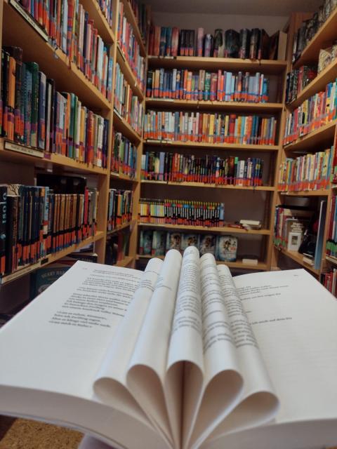 Buch vor Bücherregal