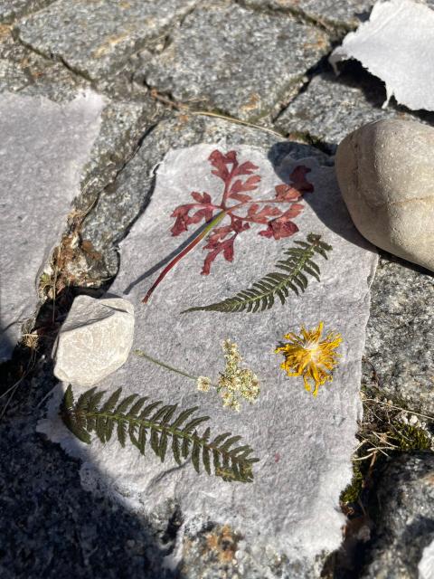 Papierschöpfen7