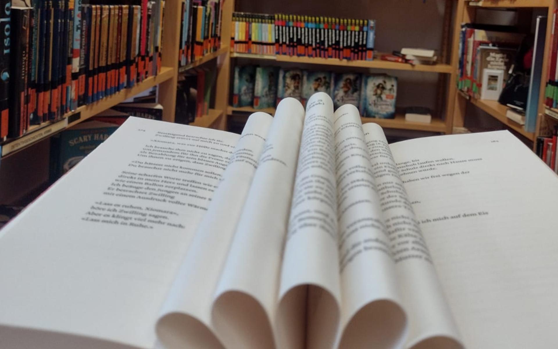 Buch vor Bücherregal