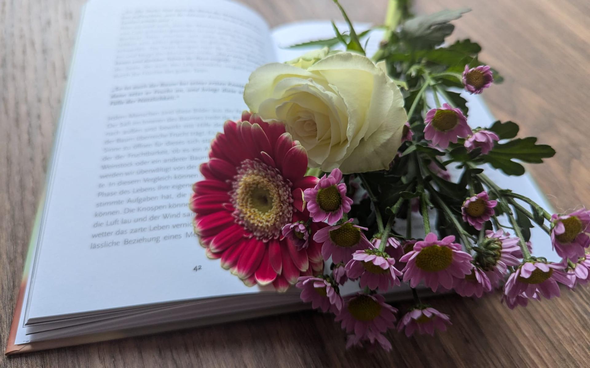 Blumen auf Buch