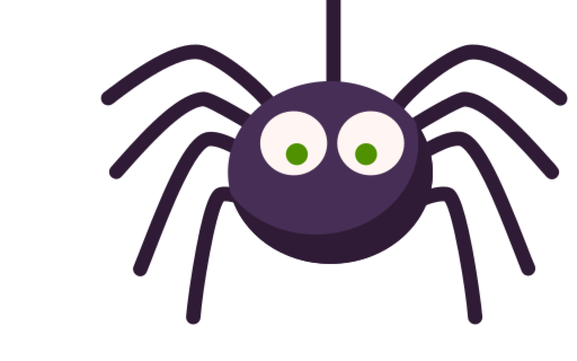 Spinne