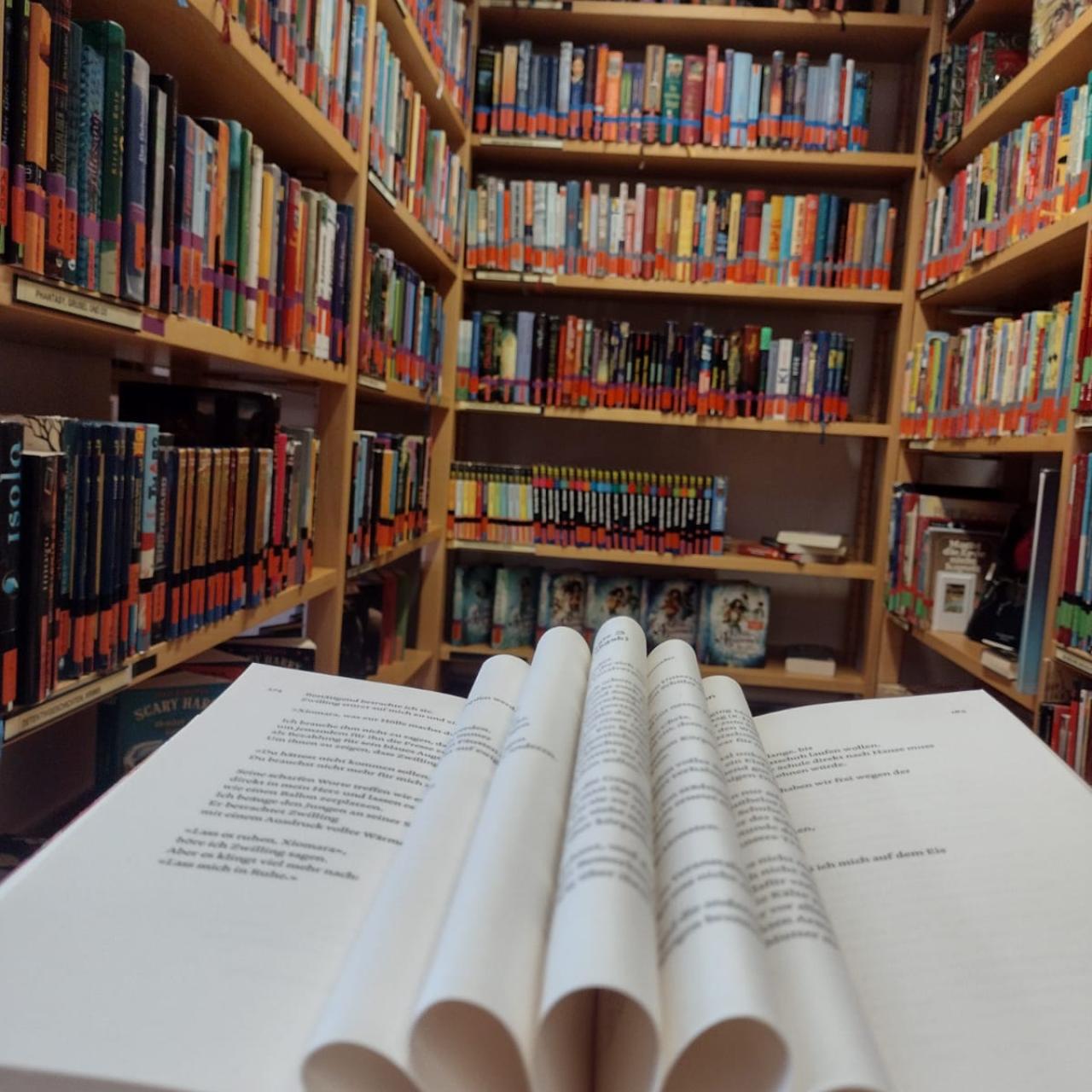 Buch vor Bücherregal